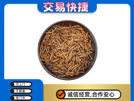 九龙坡区回收散虫草